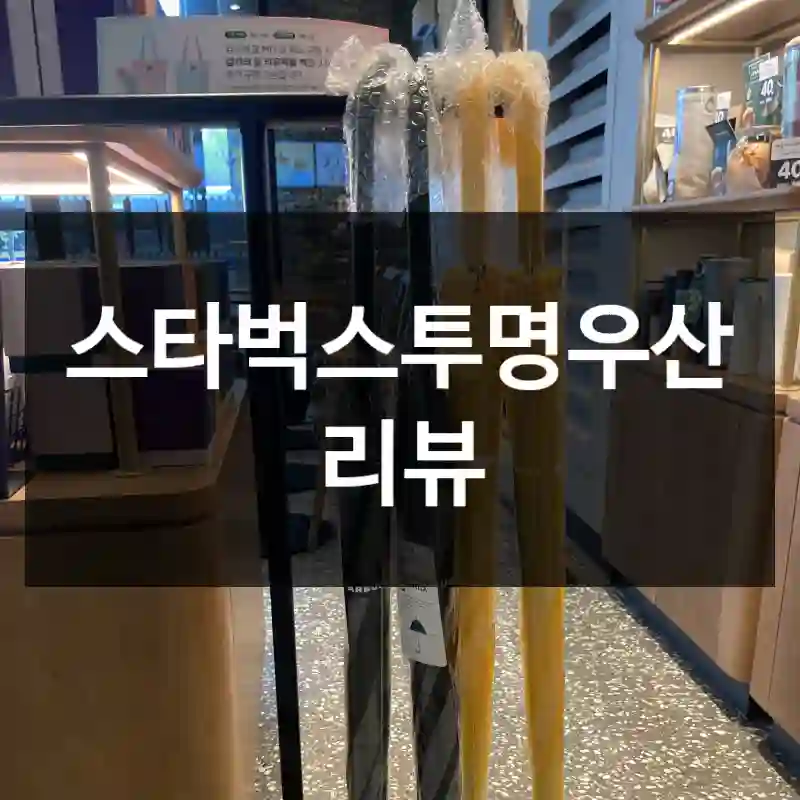 스타벅스투명우산 리뷰