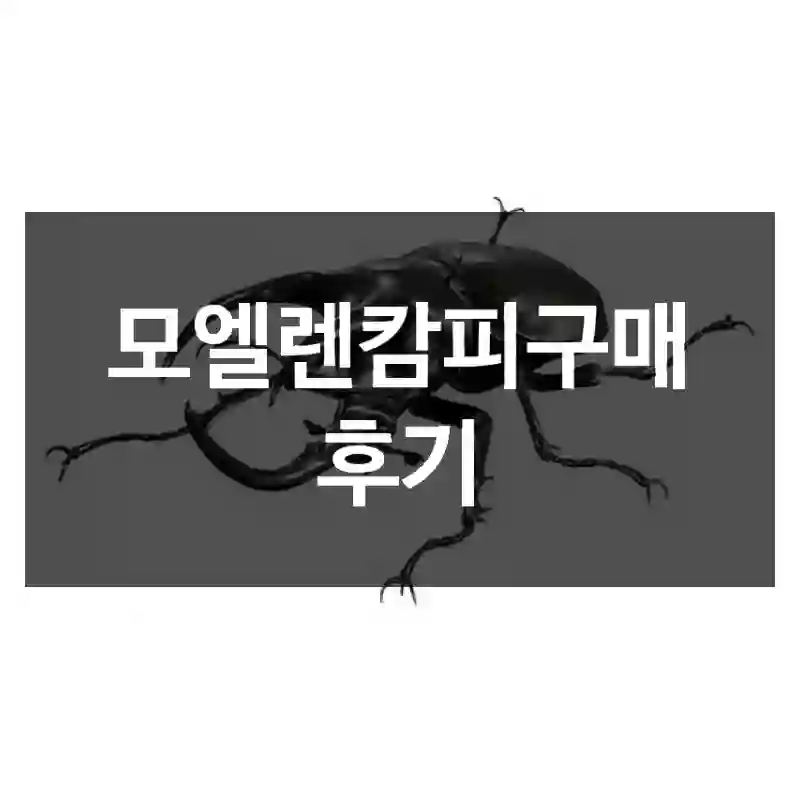모엘렌캄피구매 후기