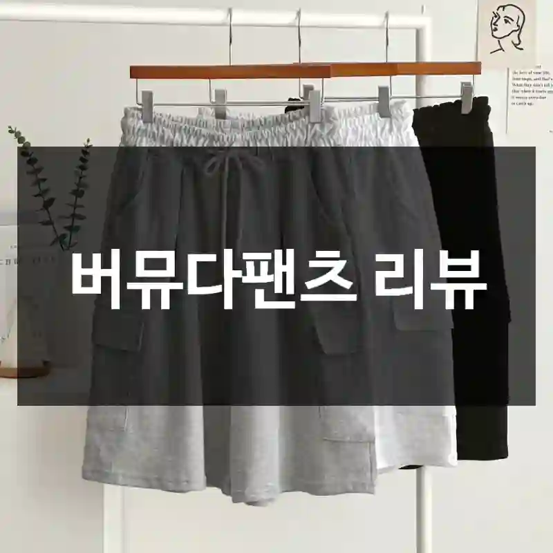 버뮤다팬츠 리뷰
