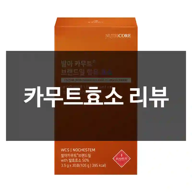 카무트효소 리뷰