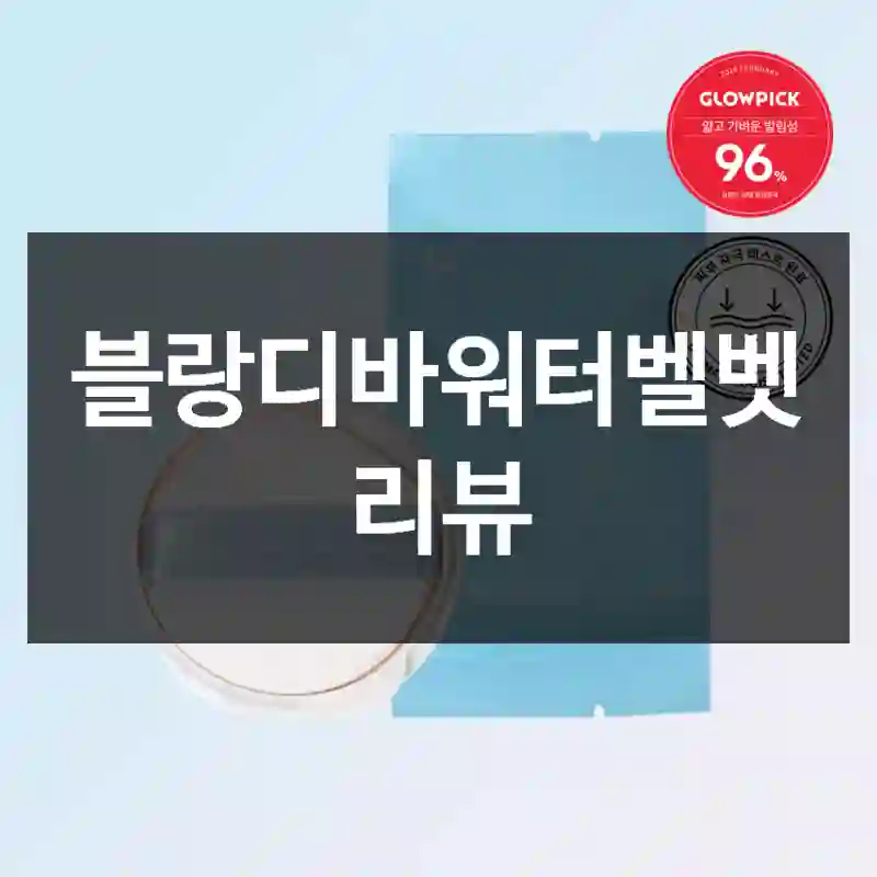 블랑디바워터벨벳 리뷰