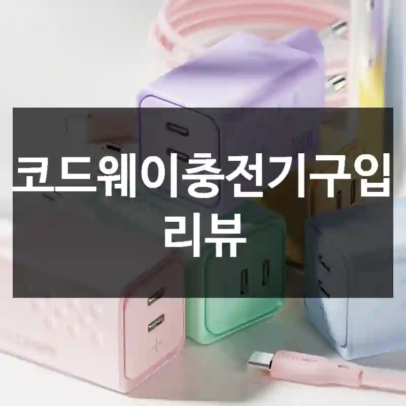 코드웨이충전기구입 리뷰