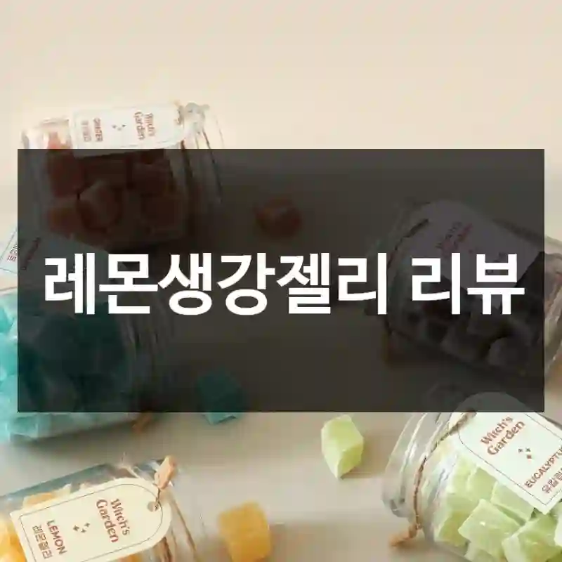 레몬생강젤리 리뷰
