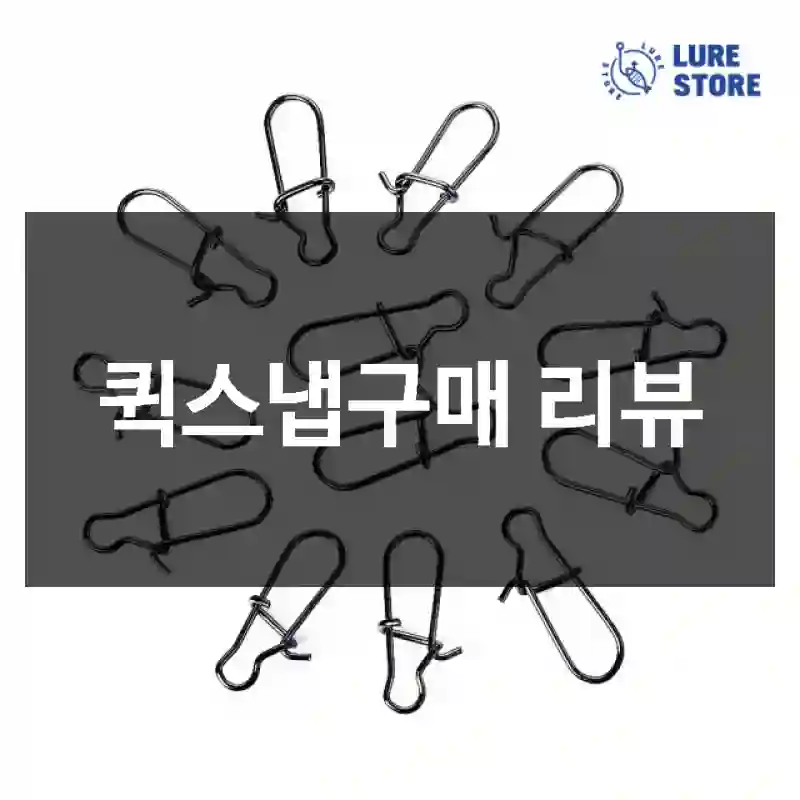 퀵스냅구매 리뷰