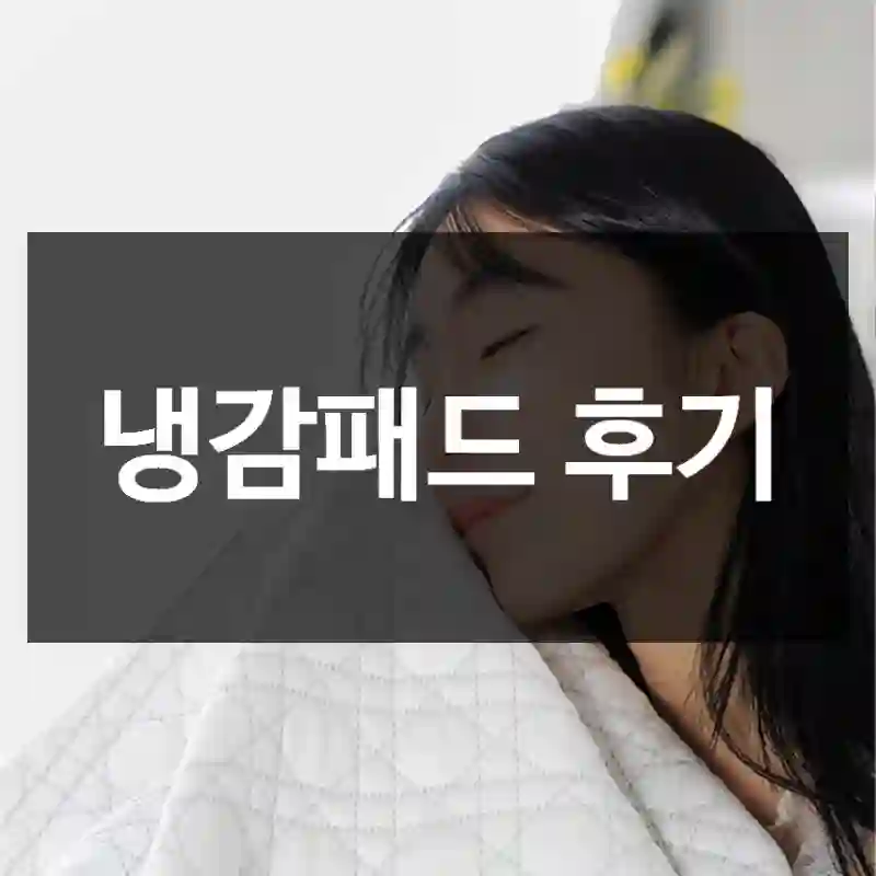 냉감패드 후기