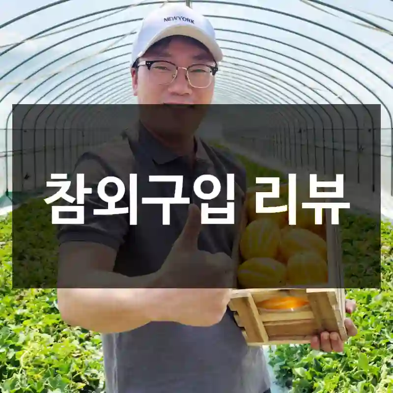 참외구입 리뷰