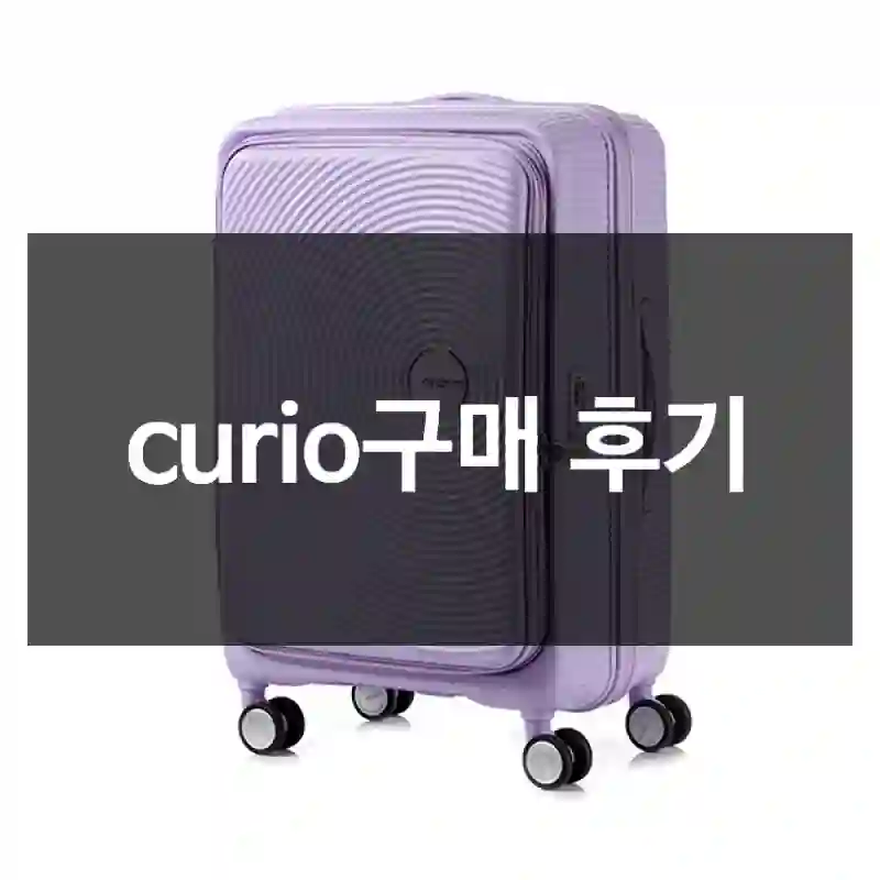 curio구매 후기