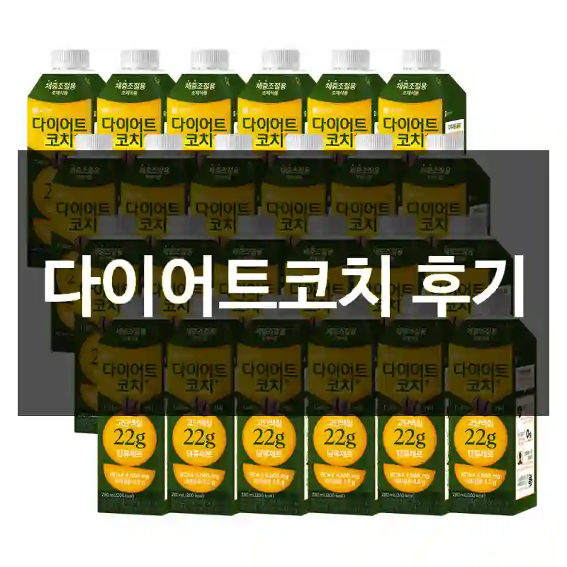 다이어트코치 후기