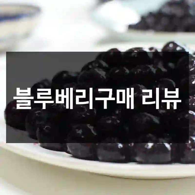 블루베리구매 리뷰