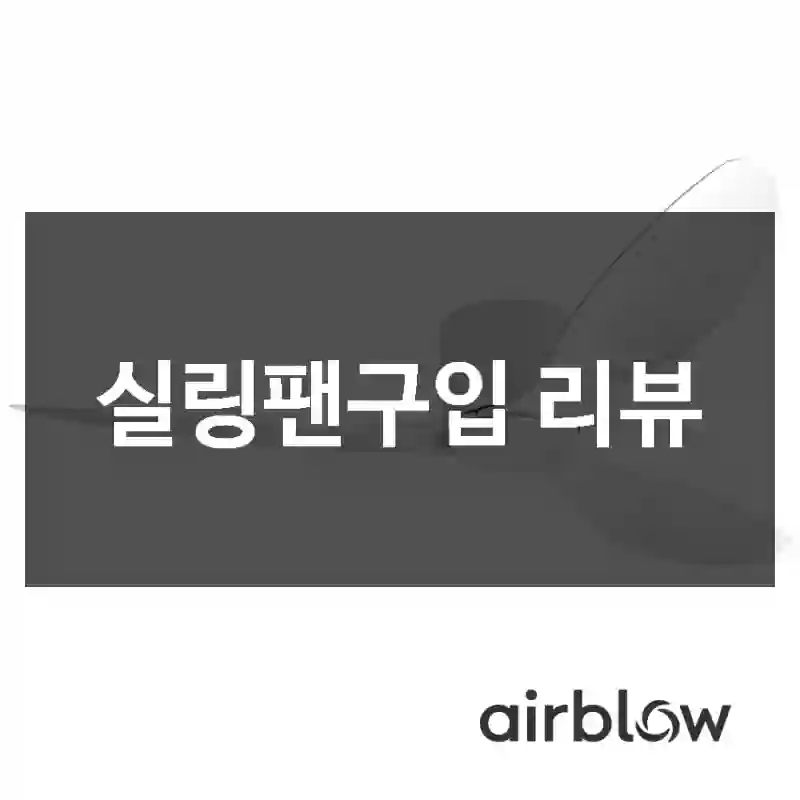 실링팬구입 리뷰