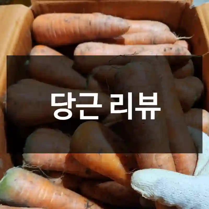 당근 리뷰