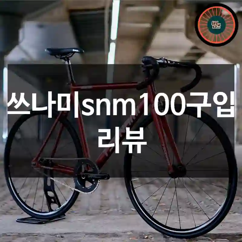 쓰나미snm100구입 리뷰
