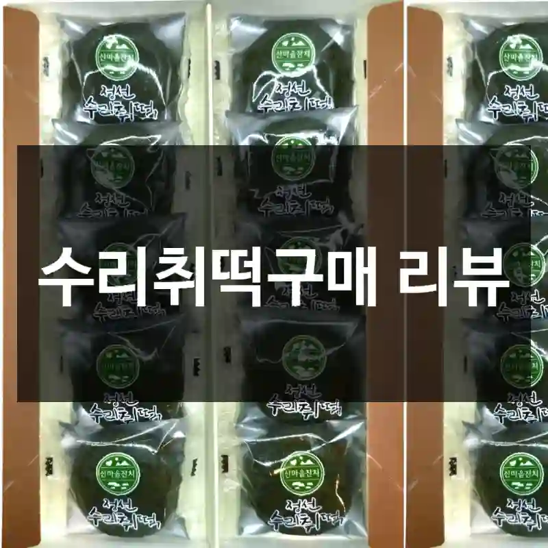 수리취떡구매 리뷰