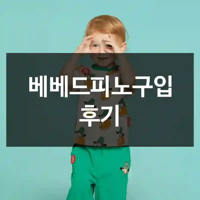 베베드피노구입 후기