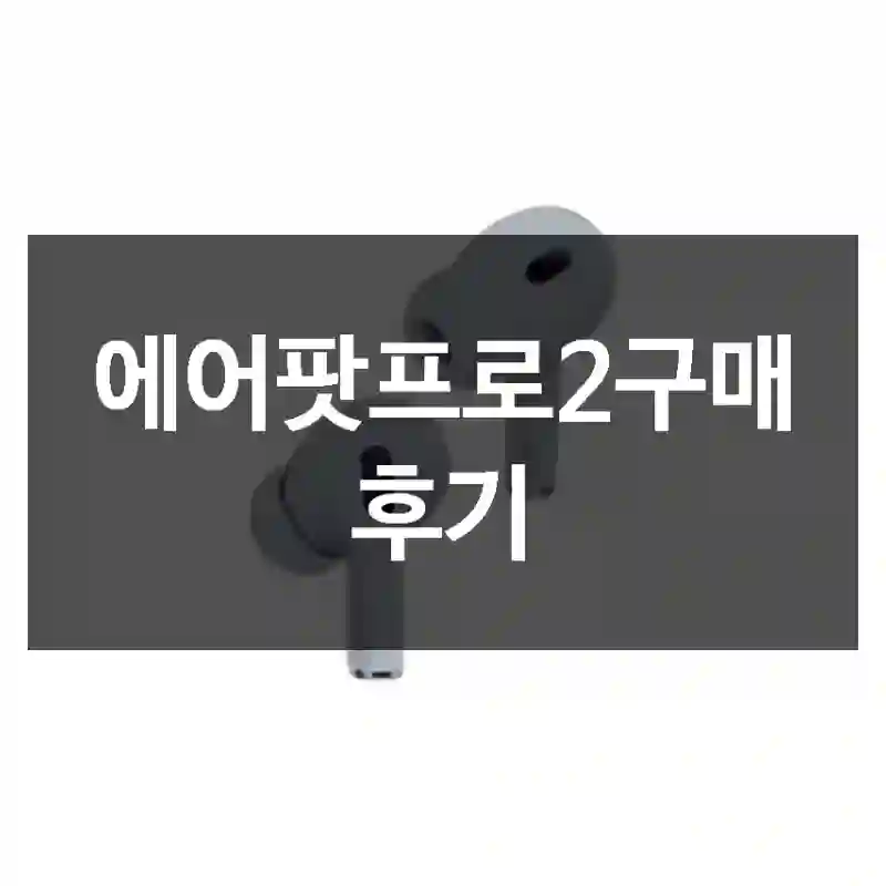 에어팟프로2구매 후기