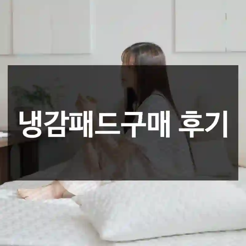 냉감패드구매 후기
