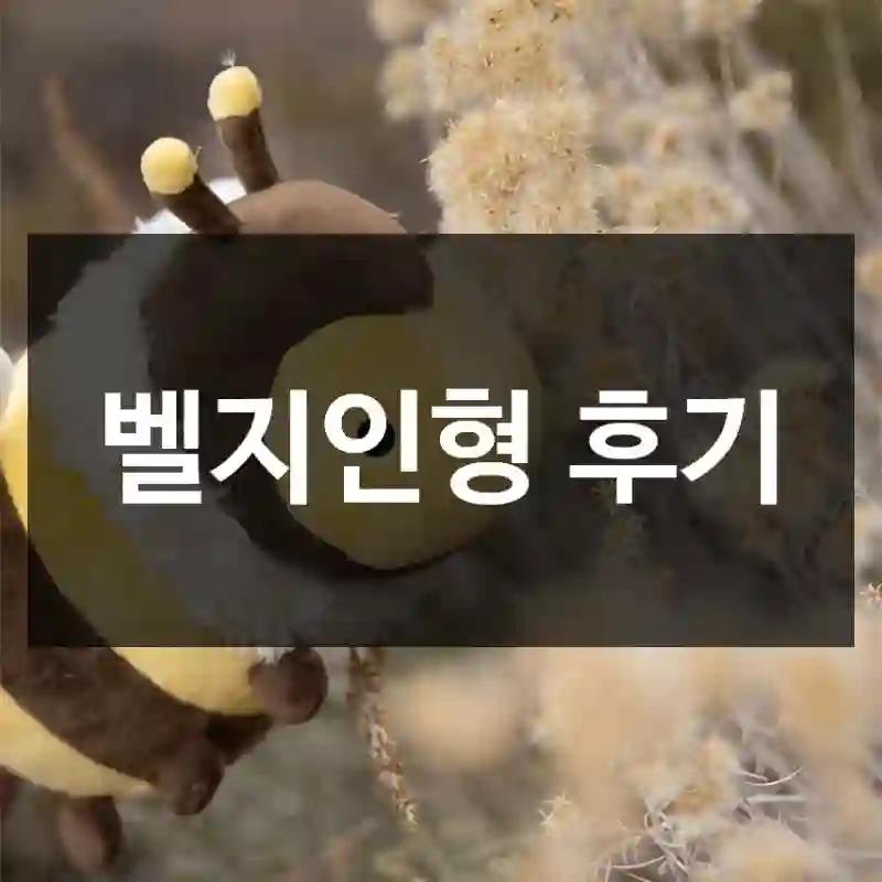 벨지인형 후기