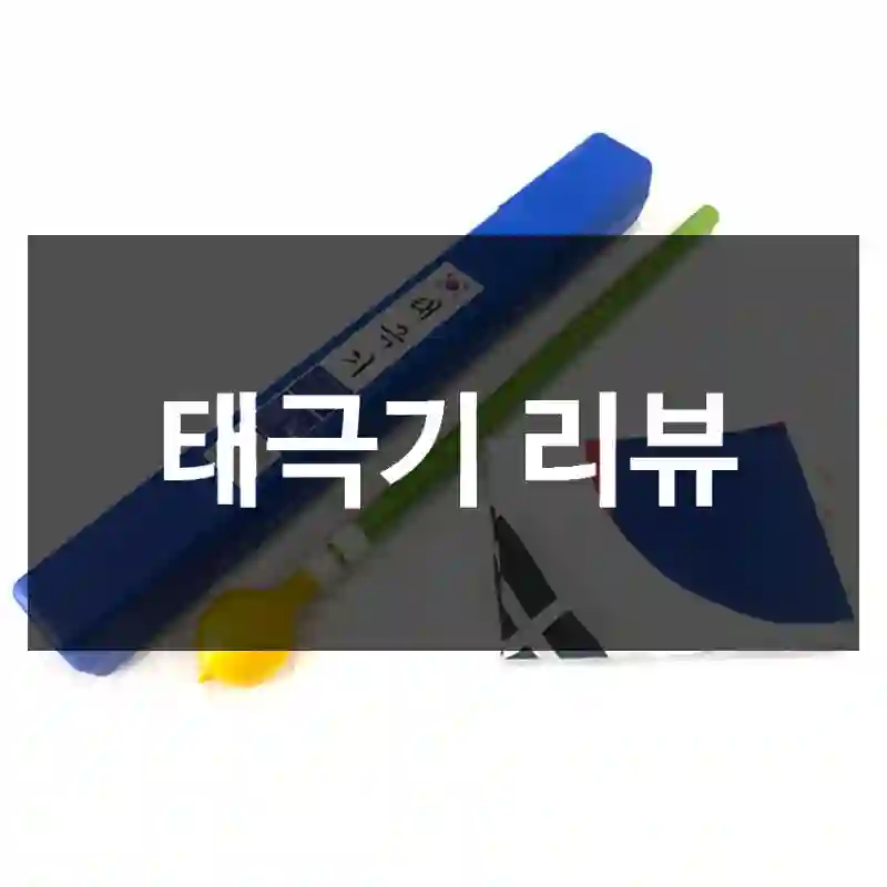 태극기 리뷰