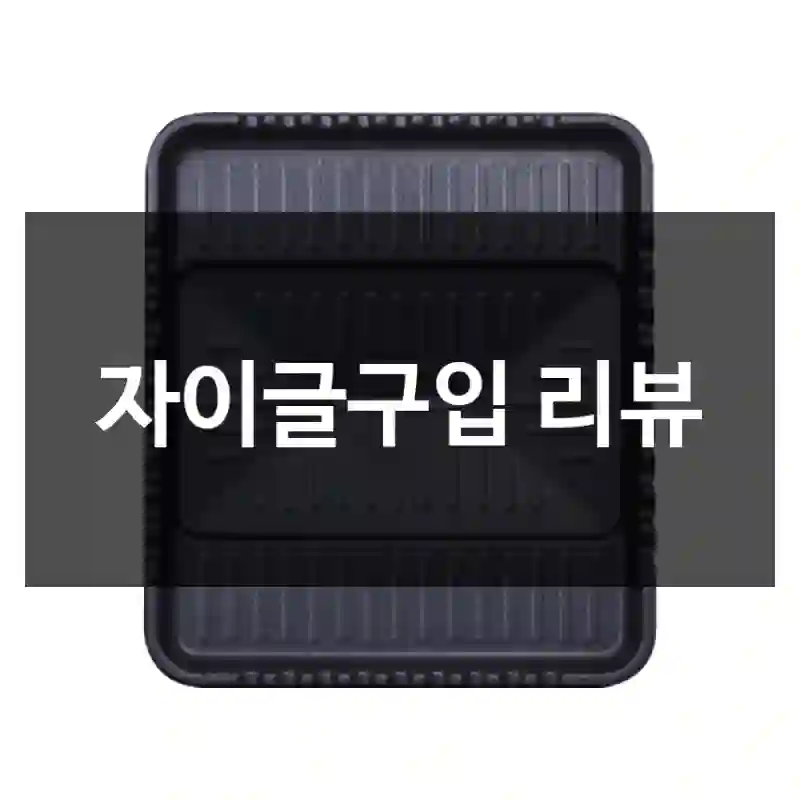 자이글구입 리뷰