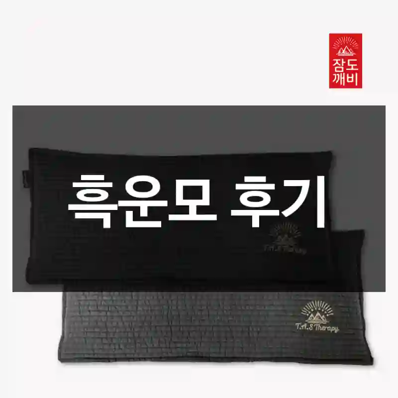 흑운모 후기