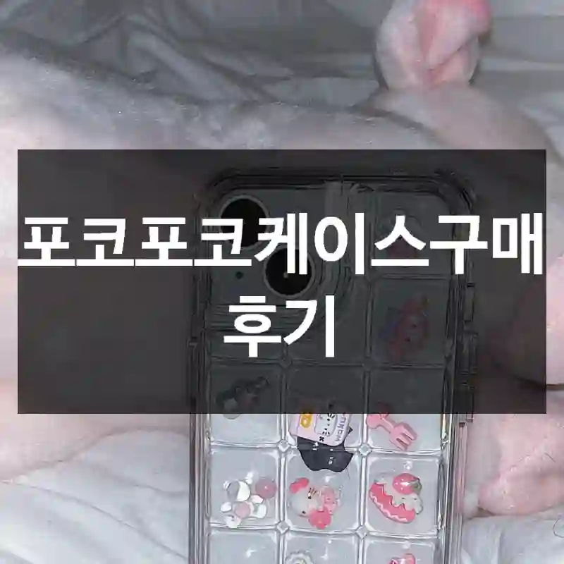 포코포코케이스구매 후기