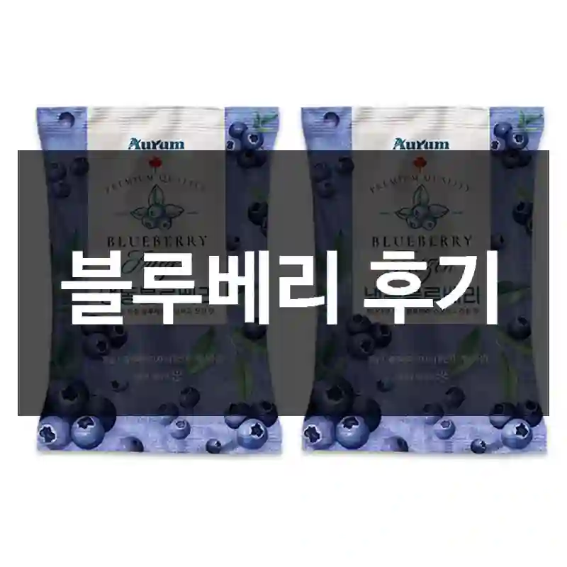 블루베리 후기