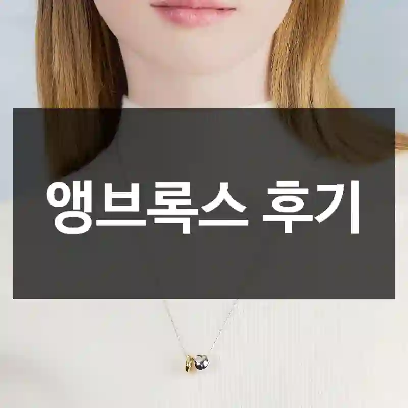 앵브록스 후기