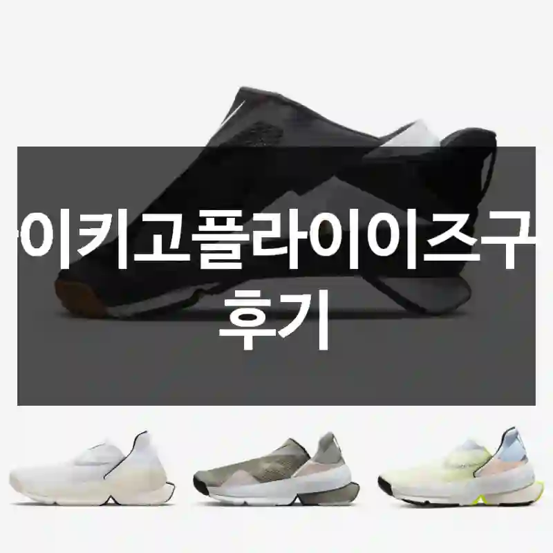 나이키고플라이이즈구입 후기