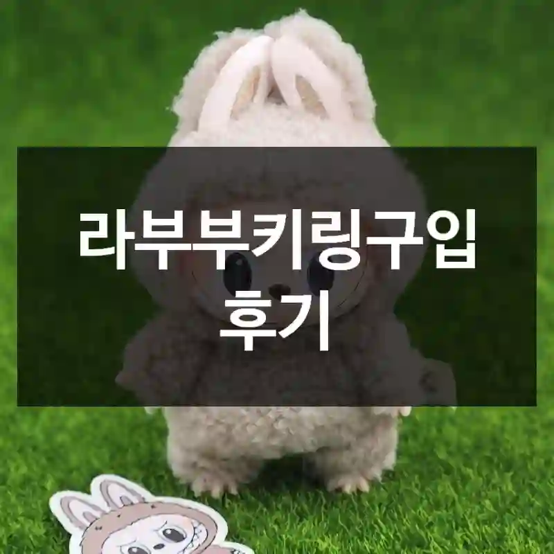라부부키링구입 후기