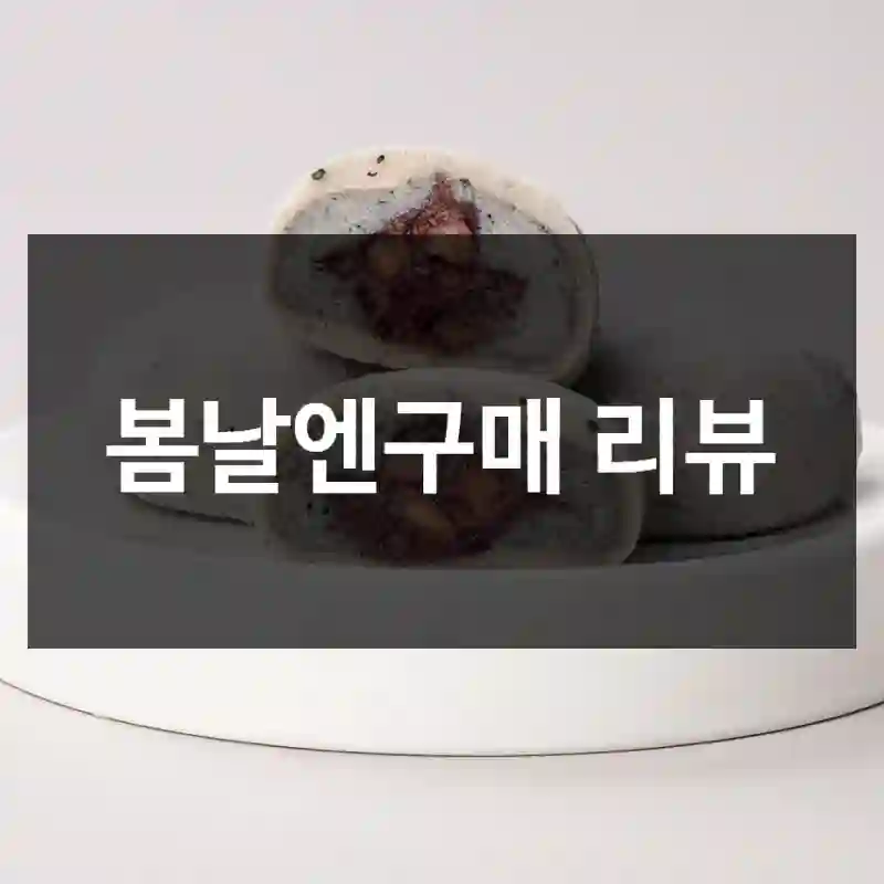 봄날엔구매 리뷰