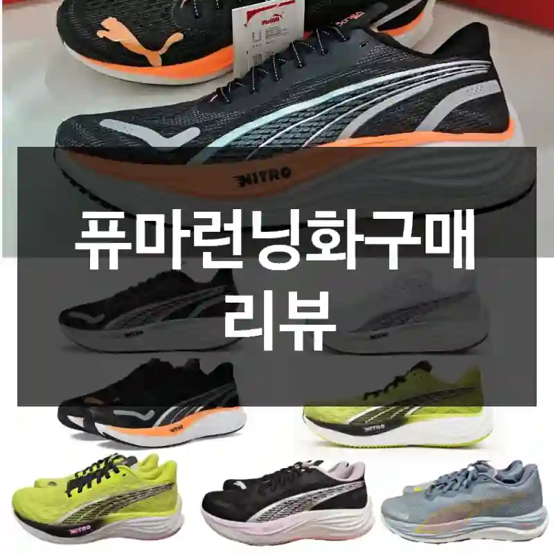 퓨마런닝화구매 리뷰