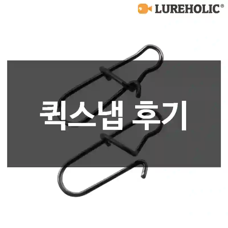 퀵스냅 후기