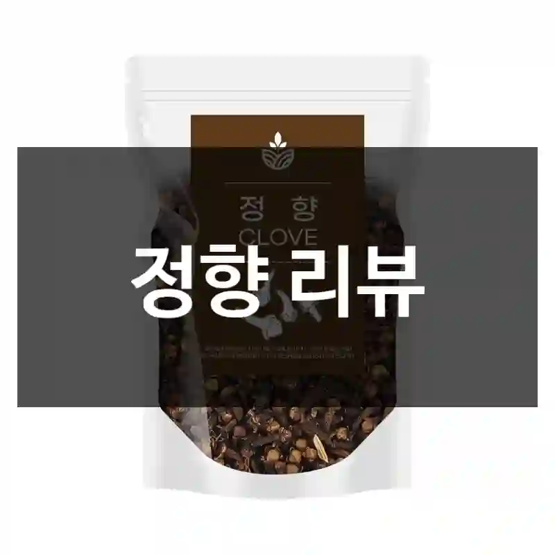정향 리뷰