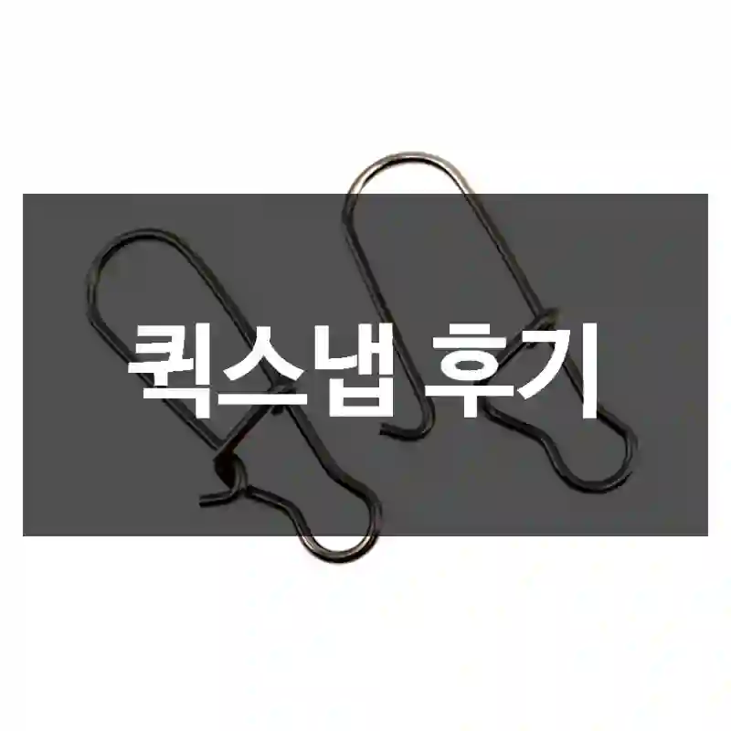 퀵스냅 후기