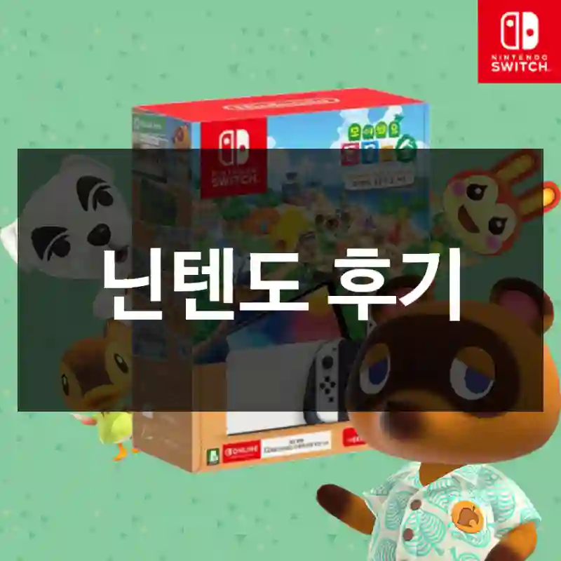 닌텐도 후기