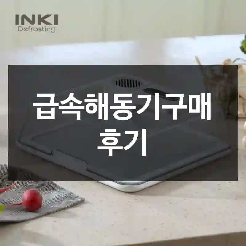 급속해동기구매 후기