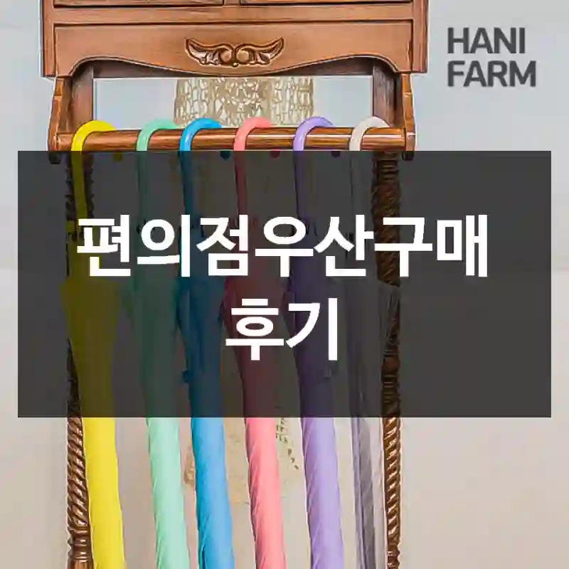 편의점우산구매 후기