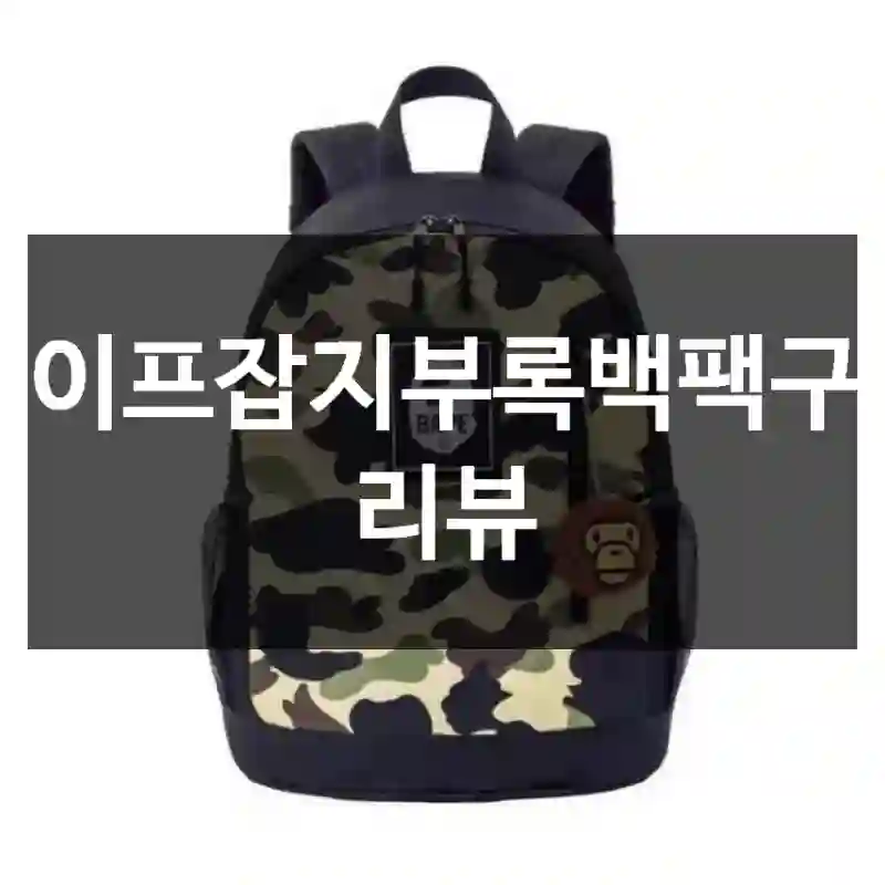 베이프잡지부록백팩구입 리뷰