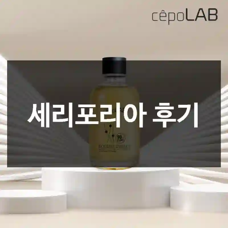 세리포리아 후기