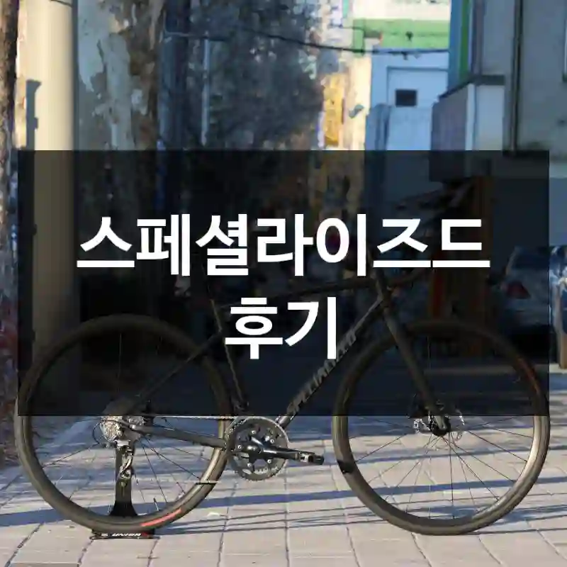 스페셜라이즈드 후기