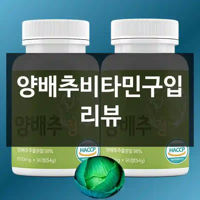 양배추비타민구입 리뷰