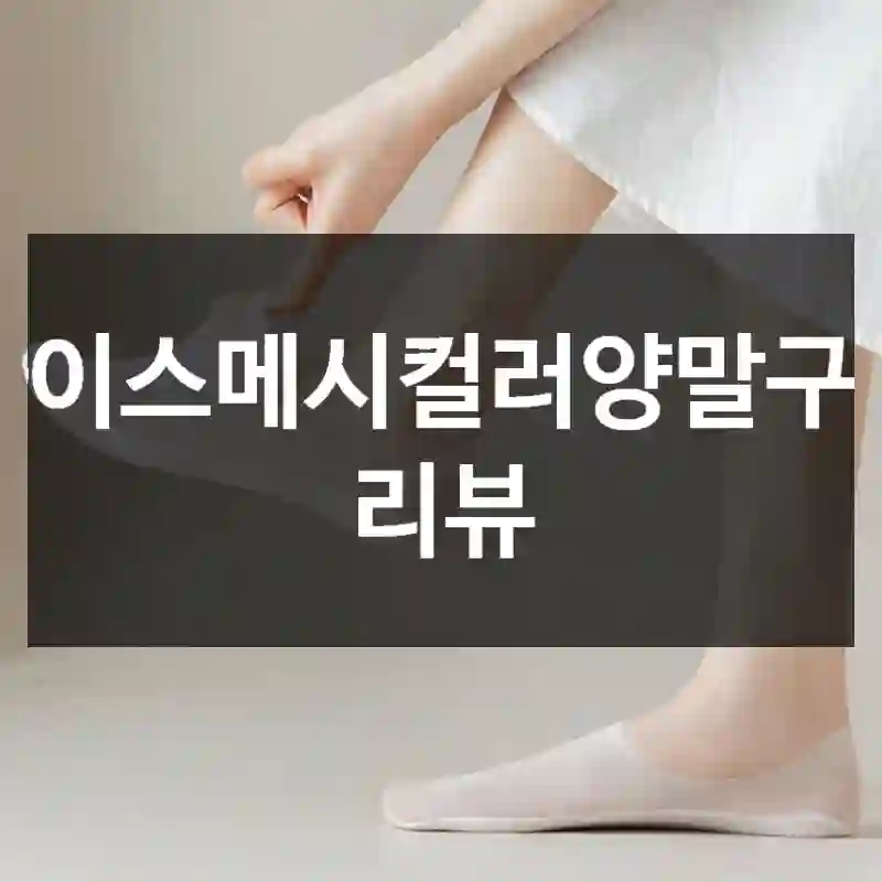 아이스메시컬러양말구입 리뷰