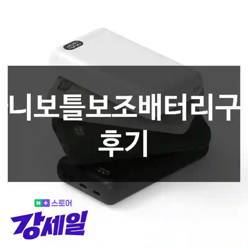 빠니보틀보조배터리구매 후기