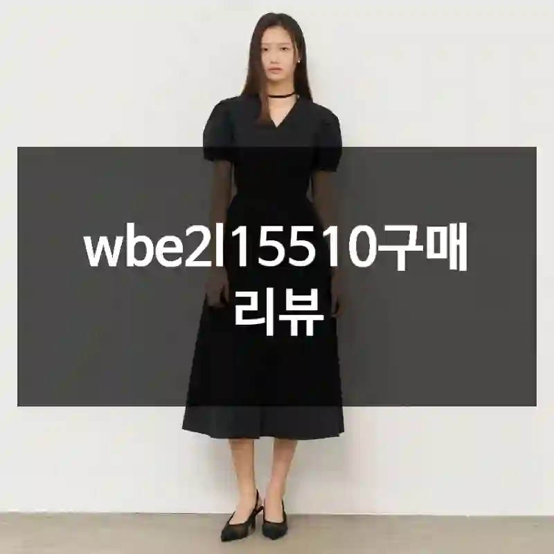 wbe2l15510구매 리뷰