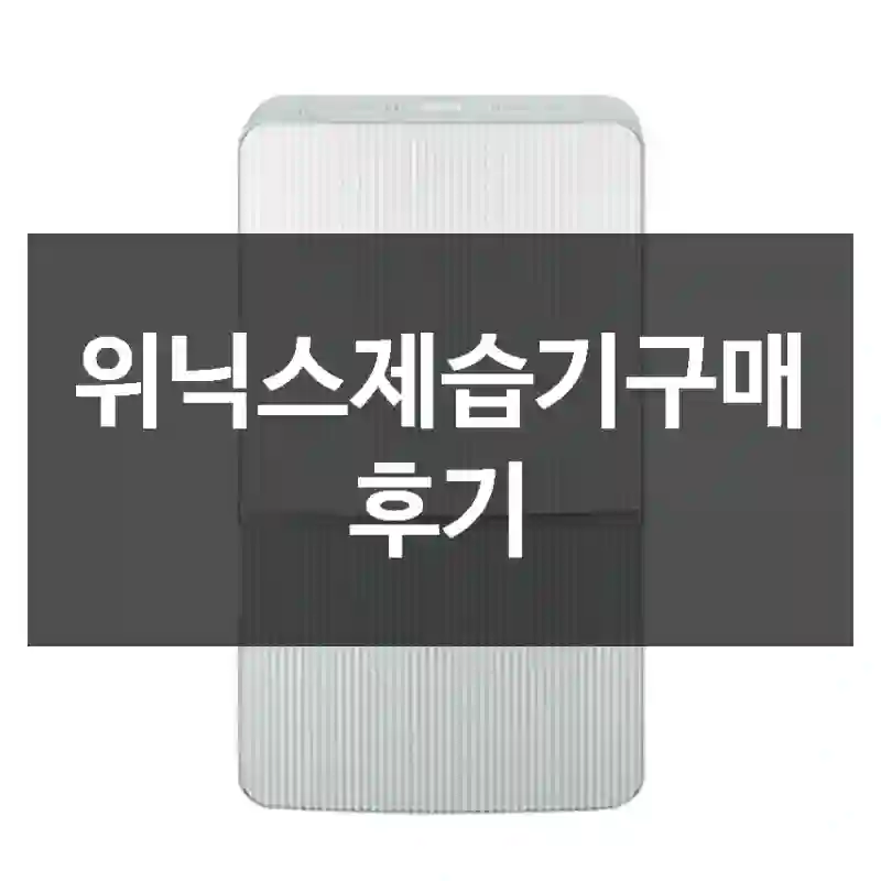 위닉스제습기구매 후기