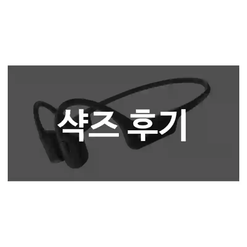 샥즈 후기