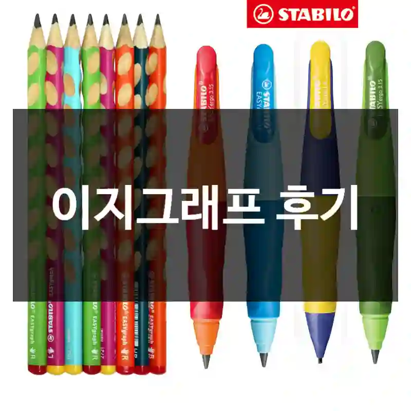 이지그래프 후기