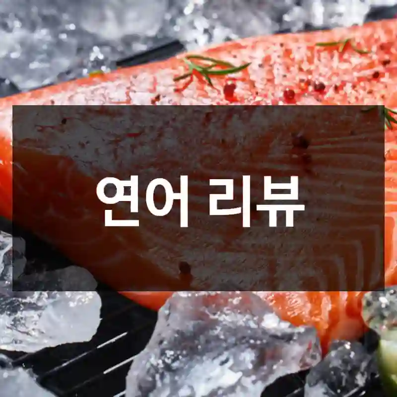 연어 리뷰
