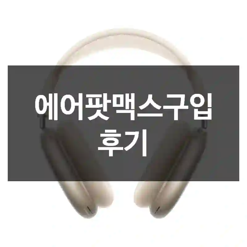 에어팟맥스구입 후기