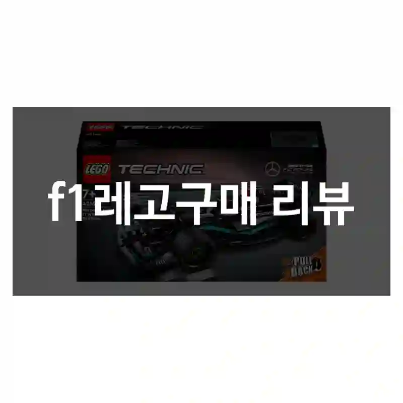 f1레고구매 리뷰